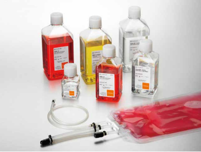  Corning ѧһ