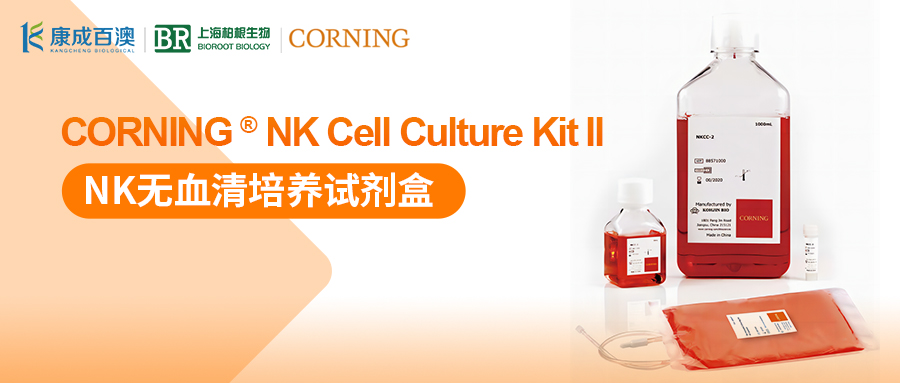 ƷCorning NKѪԼ