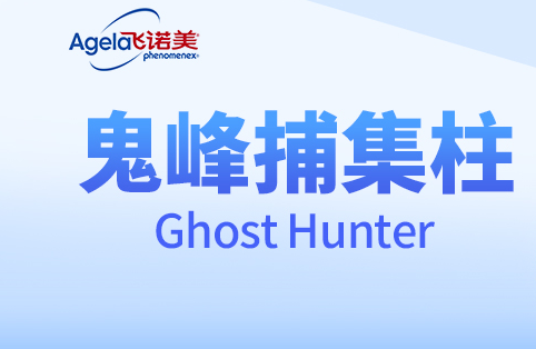 Ghost Hunter岶
