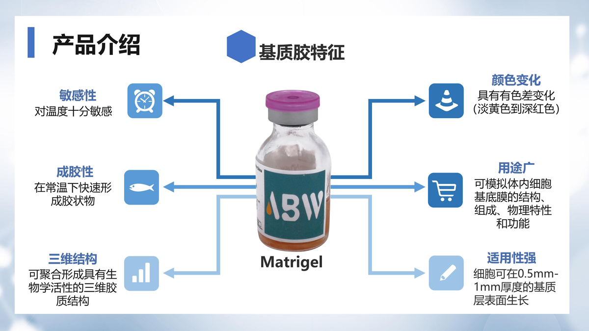 ABWʽƷ_05.png
